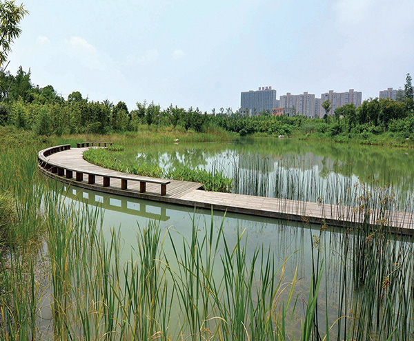 汉中水环境综合治理和修复